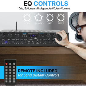 Pyle PTA66BT mic inputs for live singing and announcements.