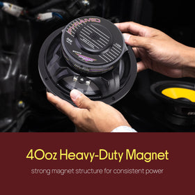 Pyramid WX65X 4 ohm impedance enables efficient power handling.