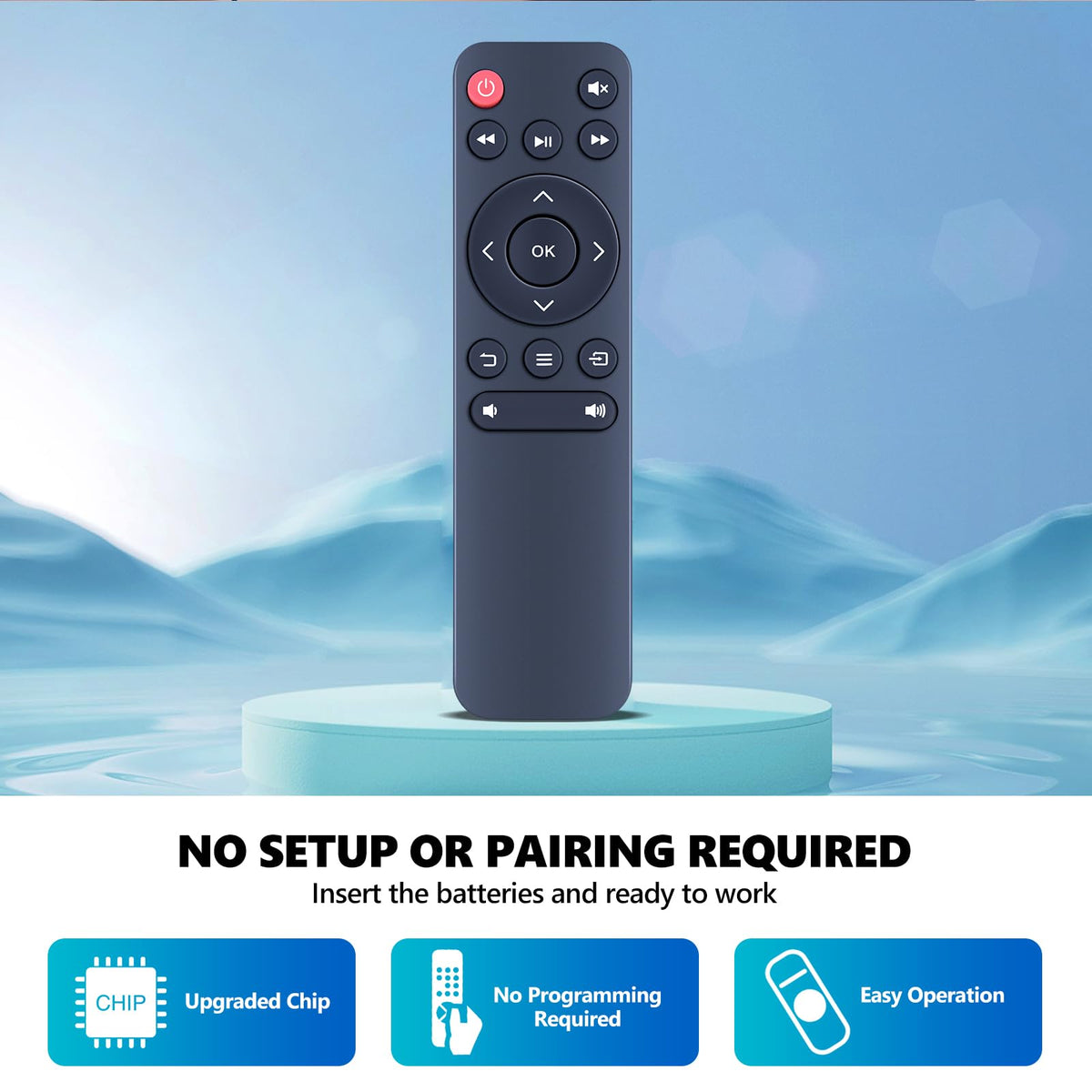 PZL remote back with battery compartment open for quick battery change