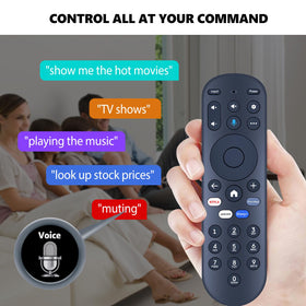 PZL voice remote pairing setup showing simple steps with on-screen prompts.