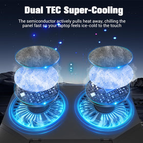 PZT RGB lighting with 10 levels enhances mood and setup aesthetics.