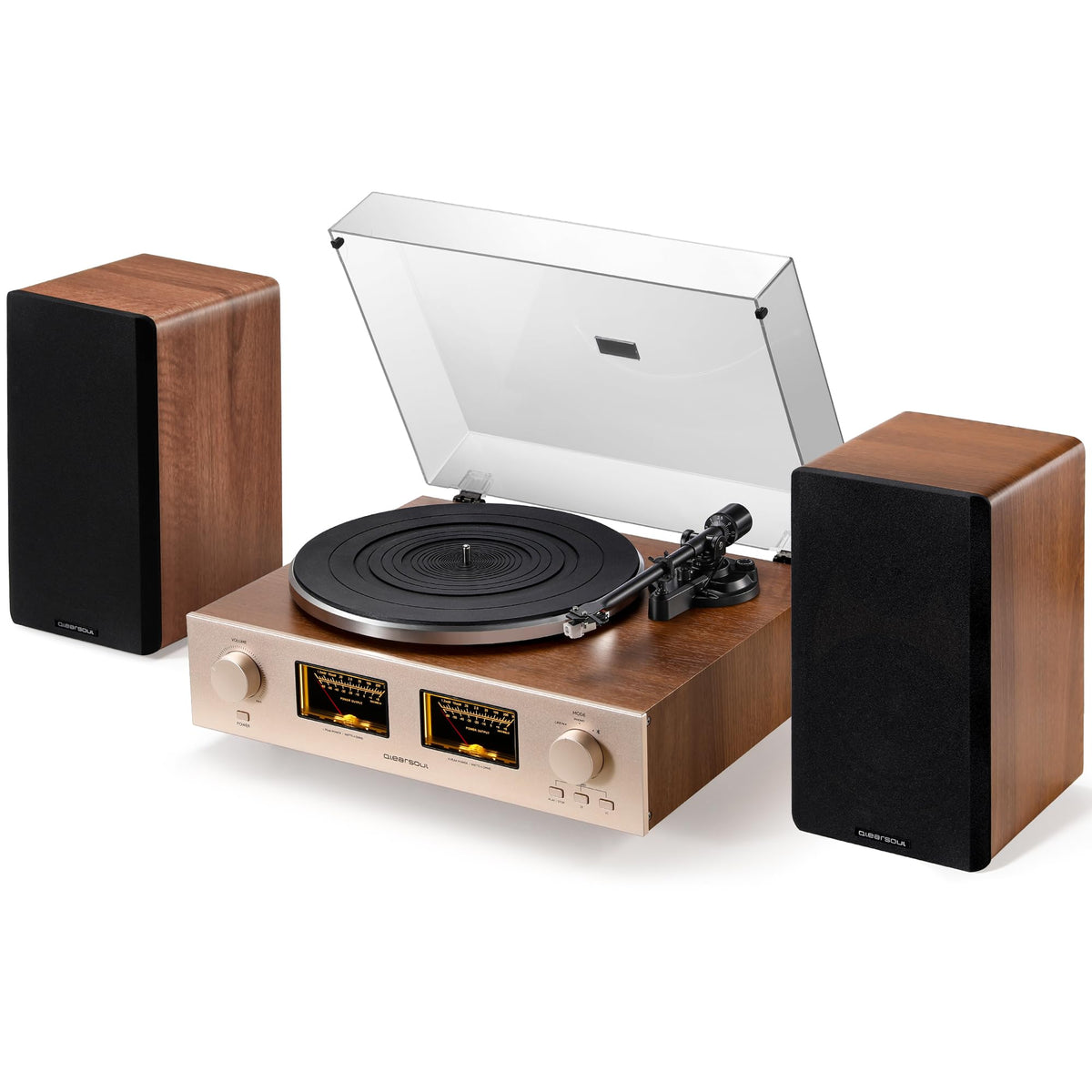 QLEARSOUL HiFire X RCA LINE-IN OUT enables external amp setup for customization