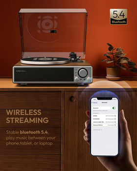 Qlearsoul ONE-Q Bluetooth connection for wireless streaming from mobile devices
