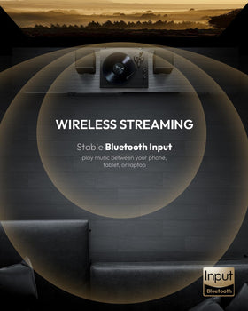 Qlearsoul SoulBox S1 belt-driven system for stable playback.