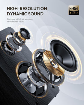 Qlearsoul SoulBox S1 built-in preamp enabling direct connection to powered speakers.