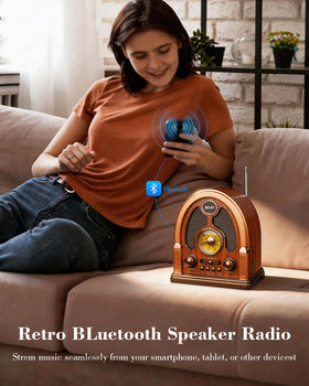 Qneye vintage radio DSP chip ensures stable, clear sound
