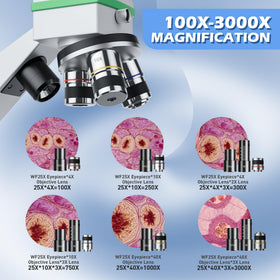 Qniuco microscope objective lenses capture fine cellular structures.