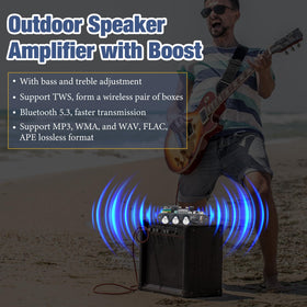 Qoroos ZK-1001U ideal for portable outdoor and car audio projects