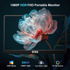 QQH monitor with USB-C and HDMI ports enabling plug-and-play connectivity.