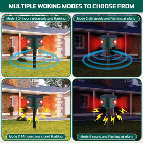 Qualirey motion sensor detail showing triple sensors for 360° detection