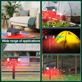 Qualirey flashing at night in garden showing visible deterrent and safety