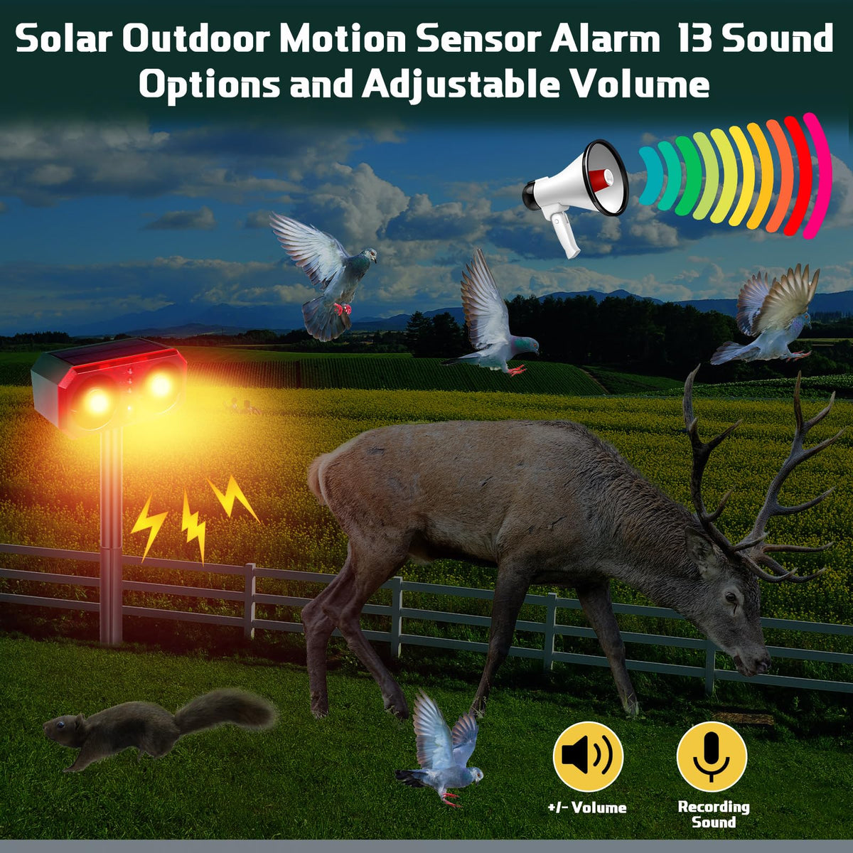 Qualirey remote control setup enables quick operation and tailored alerts