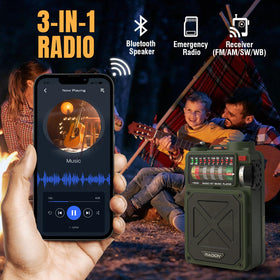 Raddy RE40 back panel with ports showing connectivity benefits for playback
