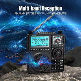 Raddy RF919 rear panel with antenna ports for versatile external connections.