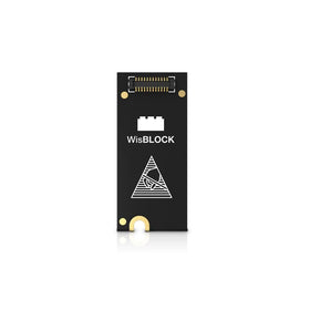 RAK12500 antenna connection detail enabling reliable satellite reception.