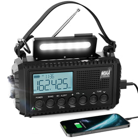 Raynic front panel and large LCD display showing tuning and battery level for clear alerts