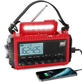 Raynic front panel showing buttons and speaker for easy emergency control