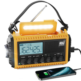 Raynic front panel showing buttons and speaker for easy emergency use