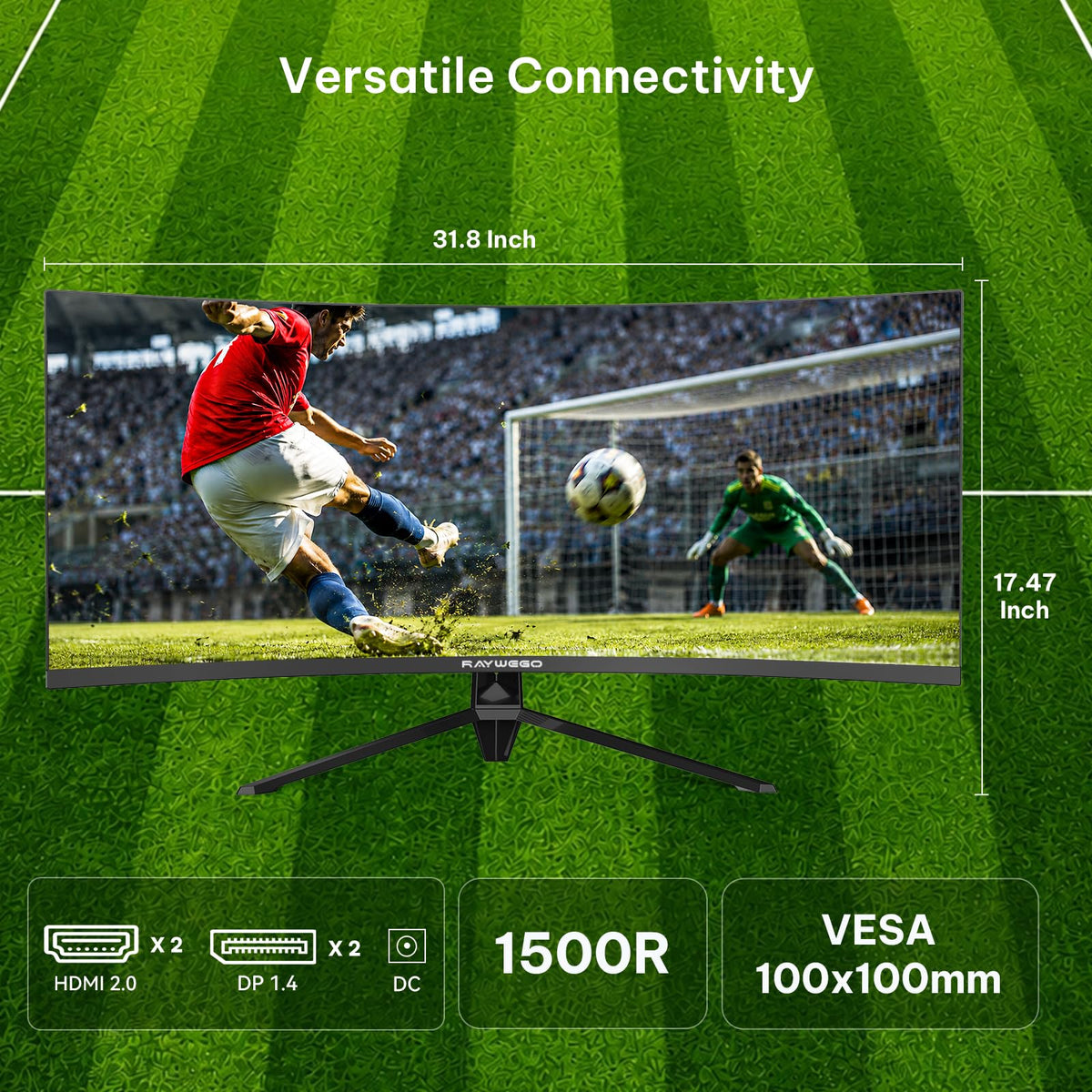 Raywego connectivity with DP and HDMI ports for versatile setup.