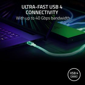 Razer USB 4 Dock dual-monitor setup enables multitasking with two displays