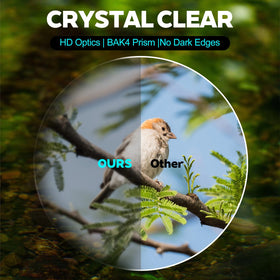 Realis 10x25 binoculars are ultra-lightweight and comfortable for extended use.