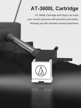 RetroAudio AT-3600L cartridge highlighting precise groove tracking