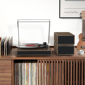 RetroAudio RCA output to connect external audio systems