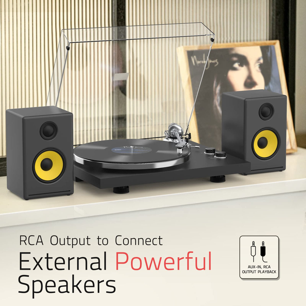 Retrolife phono line out RCA USB conversion for simple digital archiving.