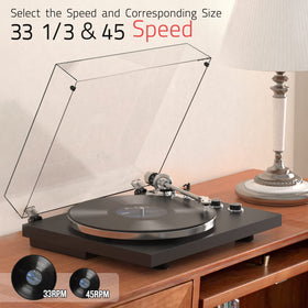 Retrolife precision-manufactured turntable plates boosting stability during playback.