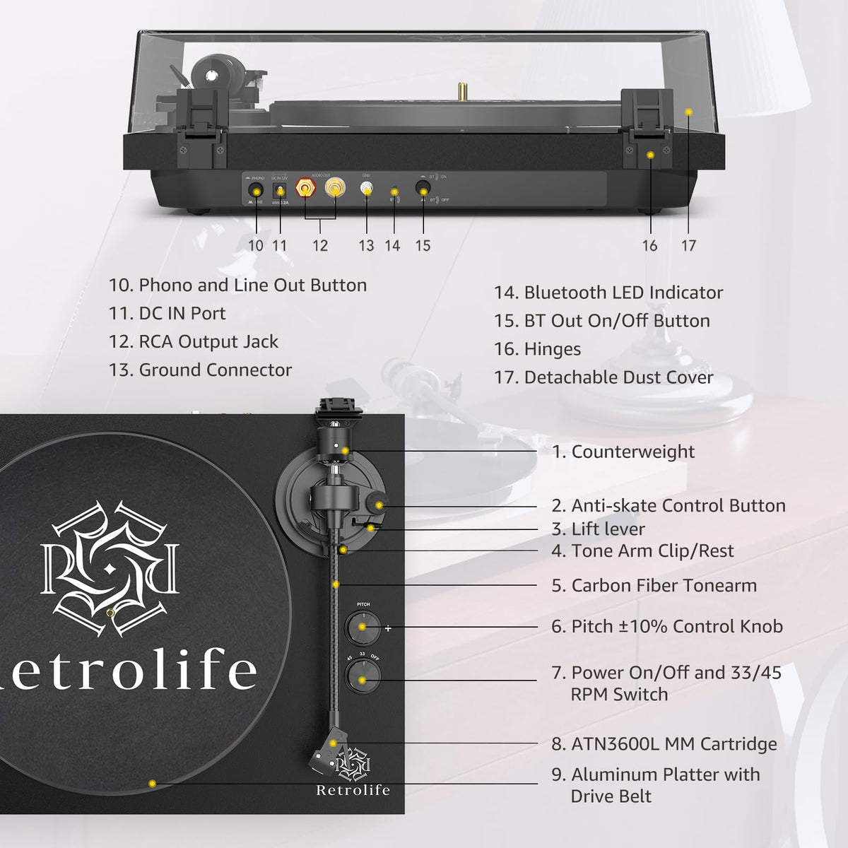 Retrolife RCA line output enables flexible speaker connections