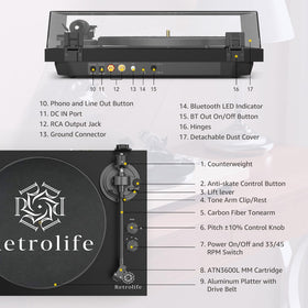 Retrolife RCA line output enables flexible speaker connections