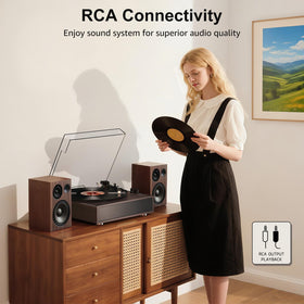 Aux and RCA ports on the Retrolife record player expand connection options