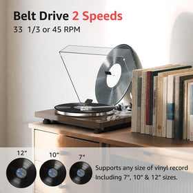 Retrolife belt drive system for smooth vinyl playback