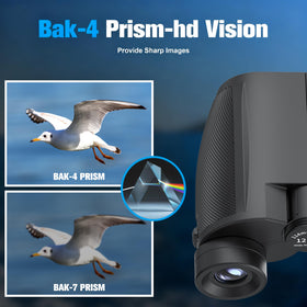 Retulgie 12x25 binoculars offer a wide-field view for scanning landscapes.