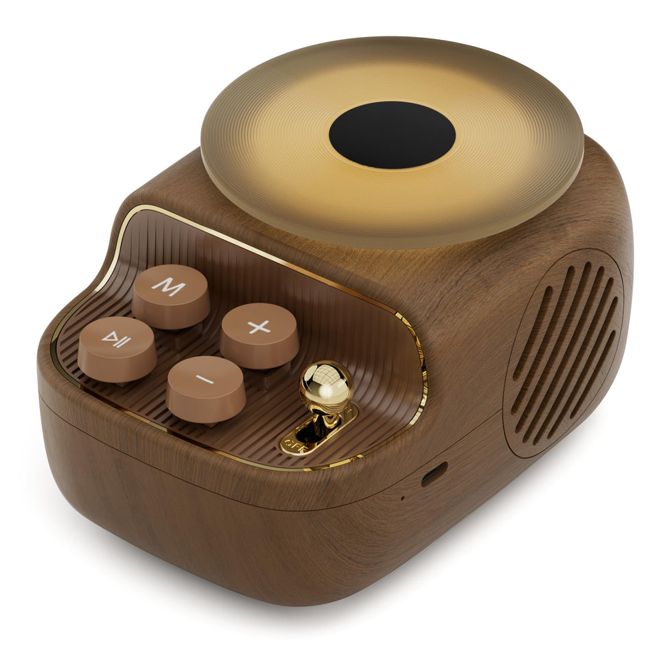 RichBird front packaging shows vintage record-player look and gift-ready appeal
