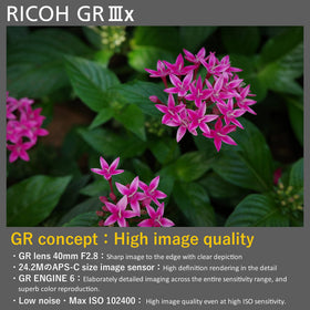 Ricoh GR IIIx AA Filter Simulator reduces moiré for smoother textures.