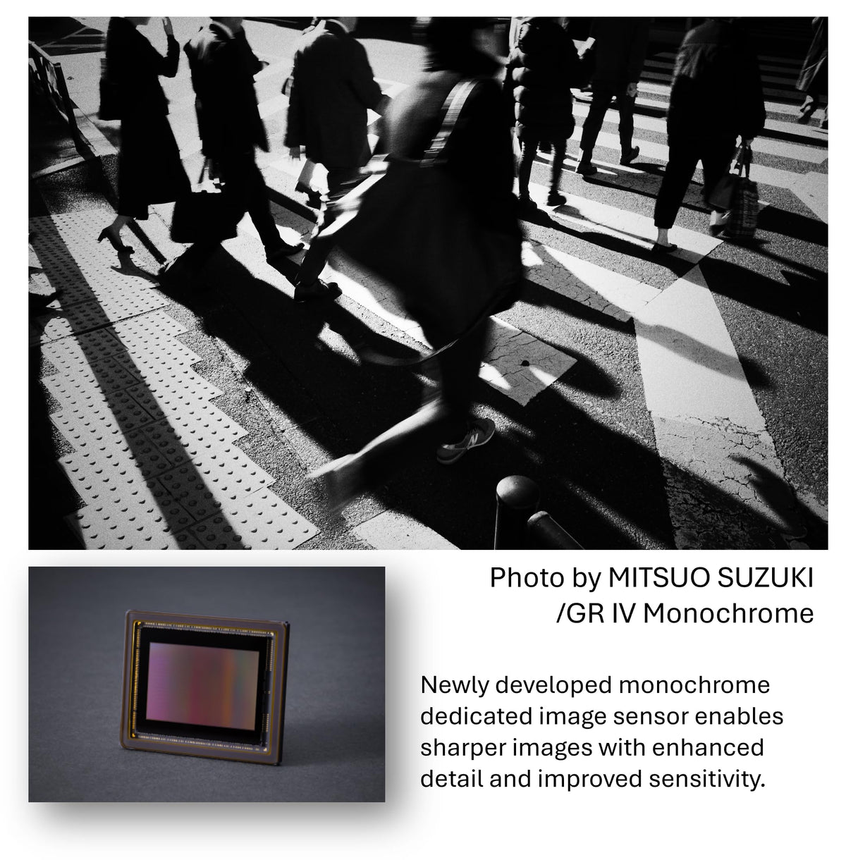 Ricoh GR IV Monochrome 28mm f2.8 lens in use showing edge-to-edge sharpness.