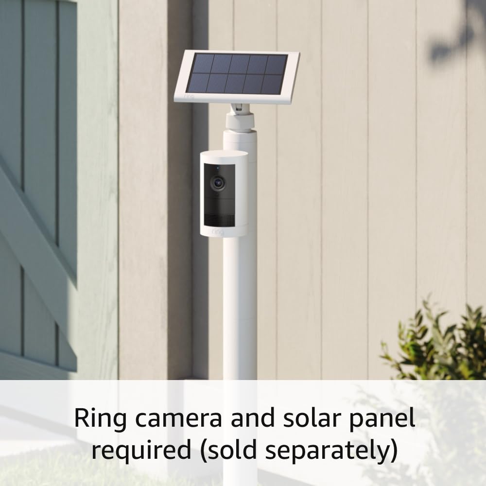 Ring stake mount next to ruler in garden to show scale and easy repositioning benefit