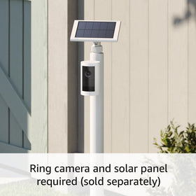 Ring stake mount next to ruler in garden to show scale and easy repositioning benefit