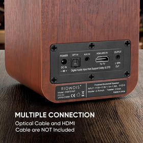 RIOWOIS speakers next to turntable in living room for vinyl listening