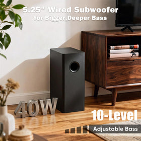 RIOWOIS 5.25-inch wired subwoofer delivers deep bass with secure cable.