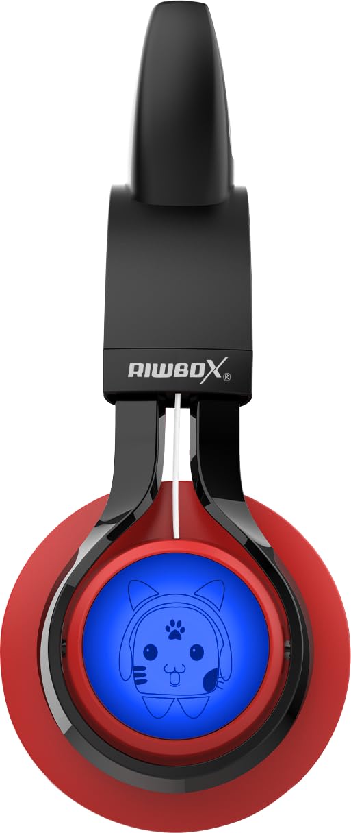 Riwbox CT-7 integrated controls close-up for easy volume and playback management
