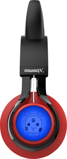 Riwbox CT-7 integrated controls close-up for easy volume and playback management