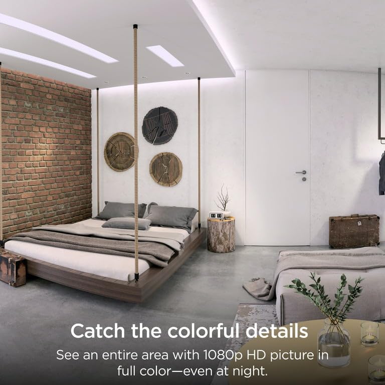 Roku CS1000R motion detection alert in action