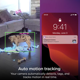 Roku CS1000R two-way audio for remote communication