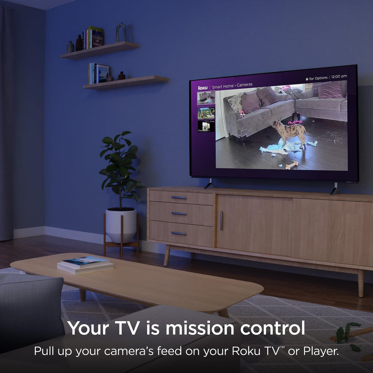 Roku CS1000R wired power for reliable continuous operation
