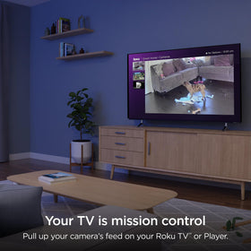 Roku CS1000R wired power for reliable continuous operation