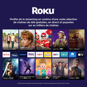 Roku Simple Remote close-up showing TV controls for easy volume and power management