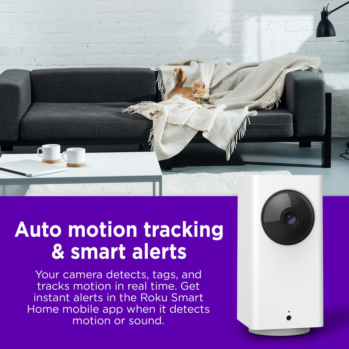 Roku camera mounted in living room showing remote viewing on Roku TV for convenience