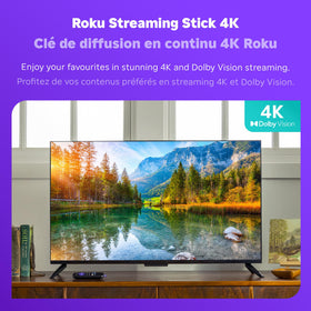 Roku device back ports showing HDMI connector and compact form for tidy setups